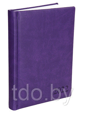Ежедневник А5, 168л. датированный 2022 год. ГЛОСС фиолетовый, переплет кожзам - фото 1 - id-p166929713