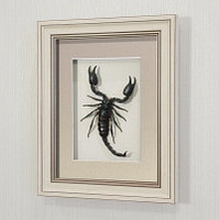 Картина-панно Гигантский королевский скорпион, арт.: Ск1а