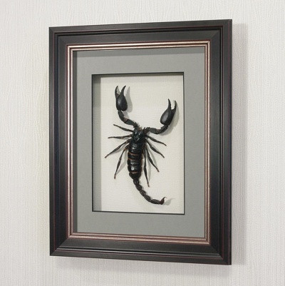 Картина-панно Гигантский королевский скорпион, арт.: Ск1в