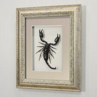 Картина-панно Гигантский королевский скорпион, арт.: Ск1с