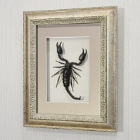 Картина-панно Гигантский королевский скорпион, арт.: Ск1с