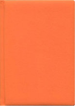 Ежедневник А5, 128л, ТАЧ оранжевый, пухлая обложка, недатированный