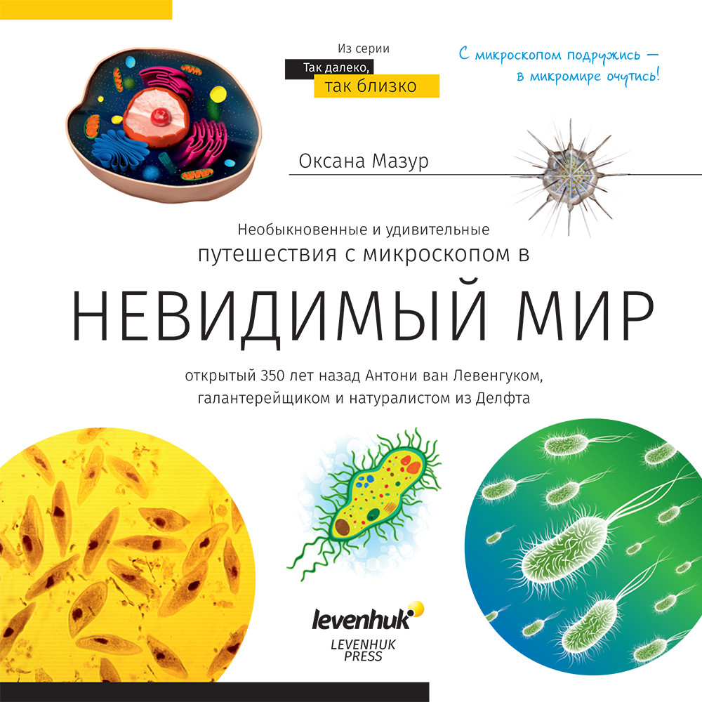 Книга знаний «Невидимый мир». Мягкая обложка - фото 1 - id-p166958835