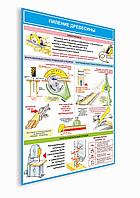ПЛАКАТ ПО Охране труда "ПИЛЕНИЕ ДРЕВЕСИНЫ" №43а р-р 40*57 см на ПВХ 3 мм