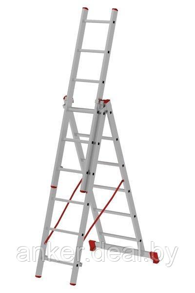 Лестница алюминиевая трёхсекционная 3х6 ступеней NV 223 Новая высота 2230306 - фото 1 - id-p166997230