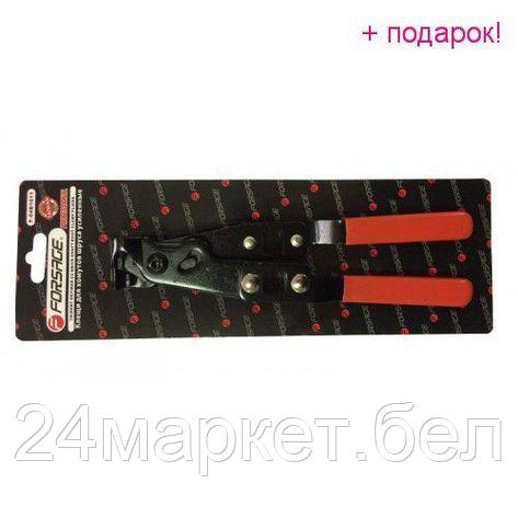 Клещи для хомутов шруса с возможностью затяжки динамометрическим ключом 1/2", в блистере F-04B1011, фото 2