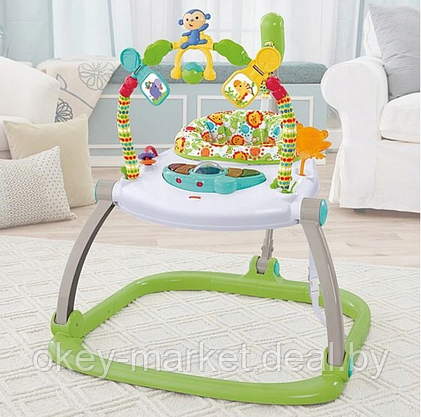 Прыгунки Fisher Price Тропический лес CHN38, фото 3