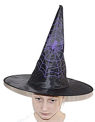 Колпак хеллоуинский черный с фиолетовым пауком