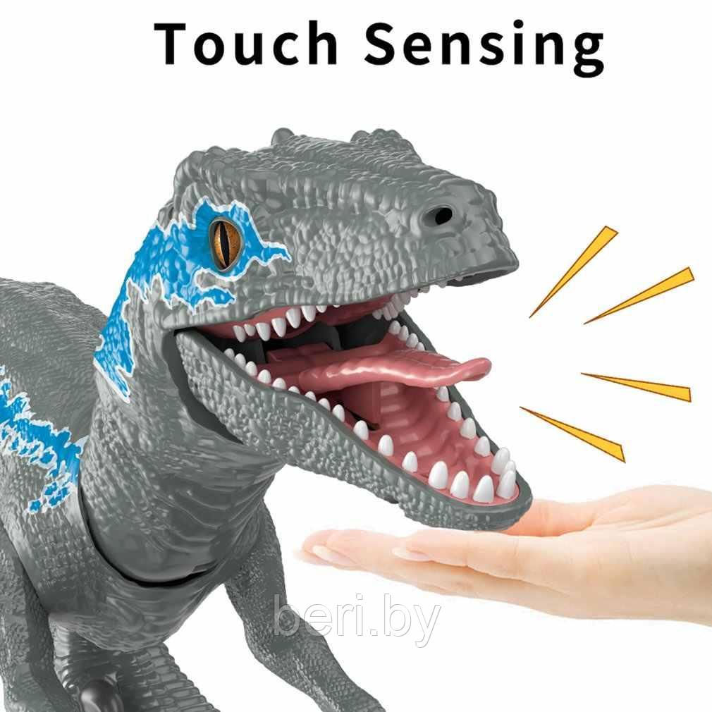 8001D Интерактивный Динозавр на радиоуправлении, сенсорное восприятие 67 см, USB зарядка - фото 2 - id-p167077314