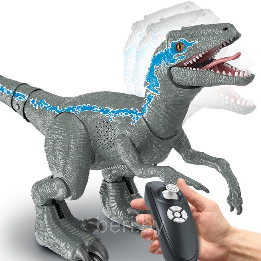 8001D Интерактивный Динозавр на радиоуправлении, сенсорное восприятие 67 см, USB зарядка - фото 4 - id-p167077314