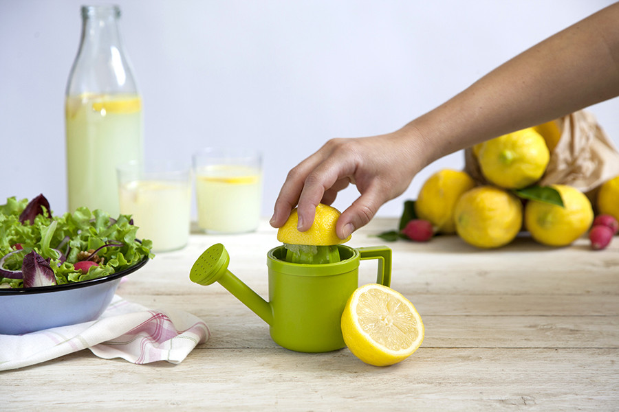 Соковыжималка для лимонов Lemoniere - фото 2 - id-p167310420
