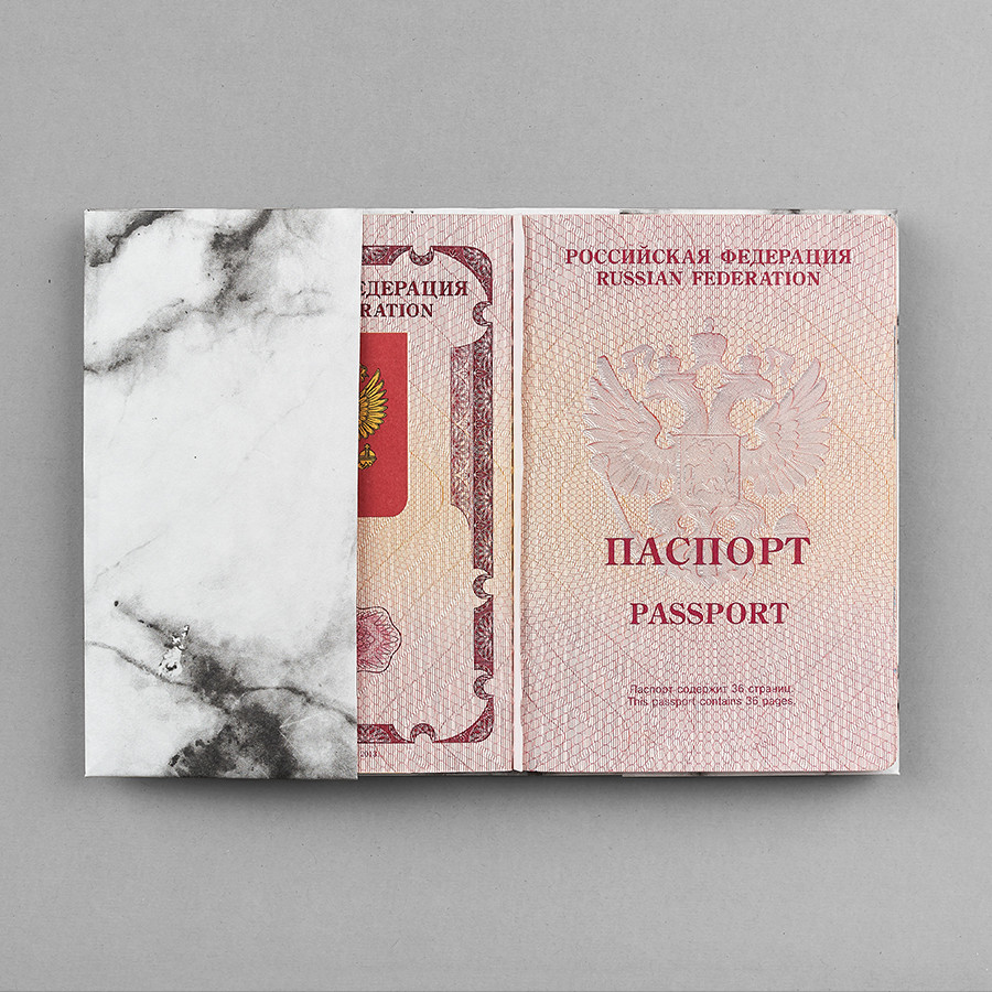 Обложка на паспорт NEW WALLET- New Moonlight; сделан из Tyvek® - фото 4 - id-p167308264
