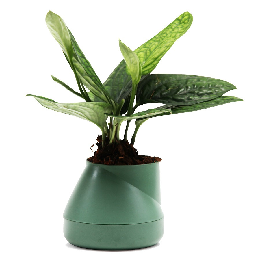 Горшок цветочный Hill Pot, маленький, зеленый - фото 1 - id-p167304319