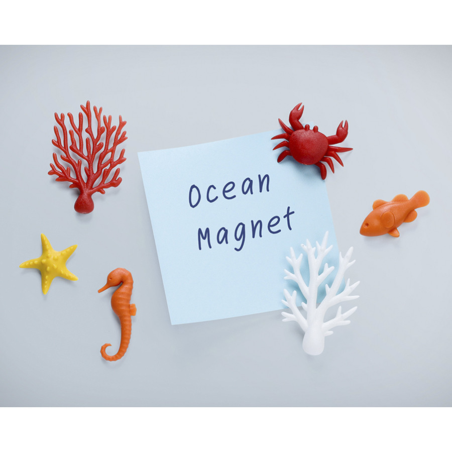 Набор из 6 магнитов для холодильника Ocean - фото 2 - id-p167307527