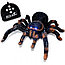 Паук на радиоуправлении Тарантул" 781  мохнатый паук      д, фото 2