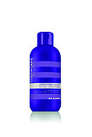 Кондиционер с серебристым оттенком фиолетовый Silver Conditioner Color Care, 300мл (ELGON)