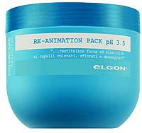 Маска для волос восстанавливающая Color Care Re-Animation Pack, 500мл (ELGON)