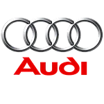 AUDI Q3 (2018-) коврики в салон и багажник