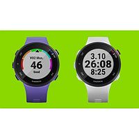 Умные часы Garmin Forerunner 45s