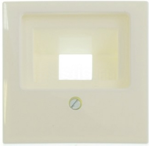 Лицевая панель для Одинарной информационной розетки, сл. кость