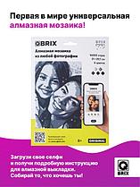 Qbrix Алмазная мозаика