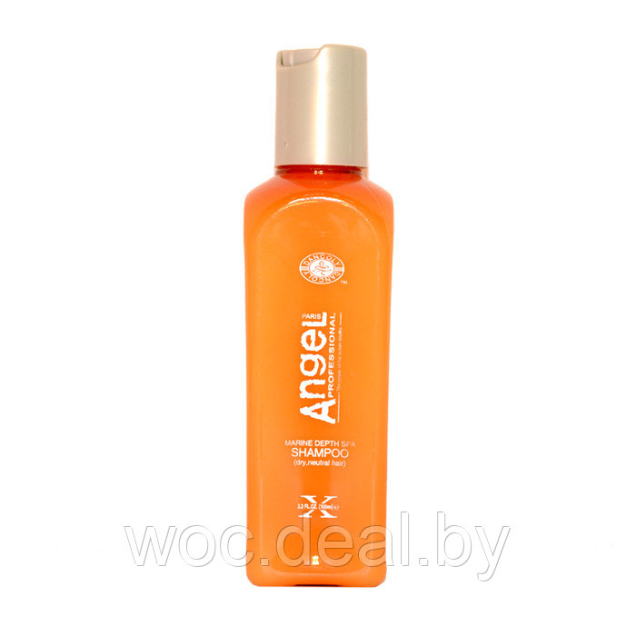 Angel Professional Шампунь для сухих и нейтральных волос, 100 мл - фото 1 - id-p167431950