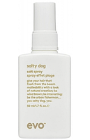 Evo Спрей текстурирующий для волос Salty Dog Salt Spray, 200 мл