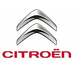 CITROEN DS3 (2009-2016) коврики в салон и багажник