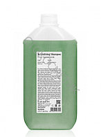 FarmaVita Восстанавливающий шампунь Revitalizing Shampoo #04 Backbar, 5000 мл