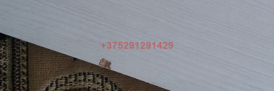 Кровать-диван Флора КРД (ясень анкор светлый/белый софт) - фото 2 - id-p150529081
