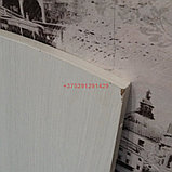 Кровать-диван Флора КРД (ясень анкор светлый/белый софт), фото 5