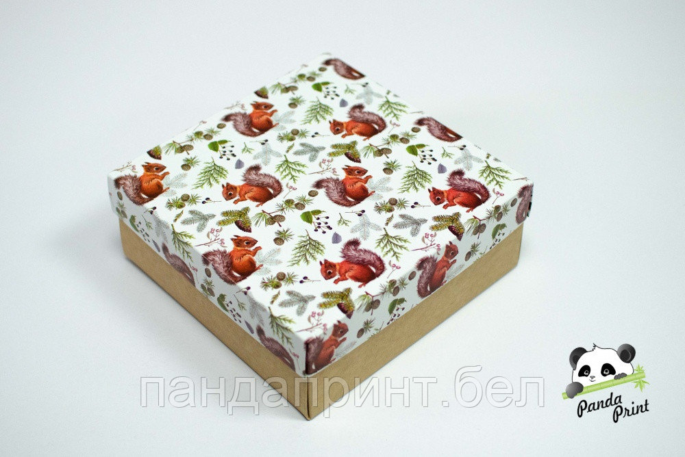 Коробка 200х200х80 Белки (крафт дно)
