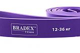 Эспандер-лента, ширина 3,2 см (12 - 36 кг.) (sporty rubber band 3,2 cm), Bradex SF 0195, фото 5