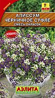 Алиссум Черничное суфле 0.1г Одн смесь 15см (Аэлита)