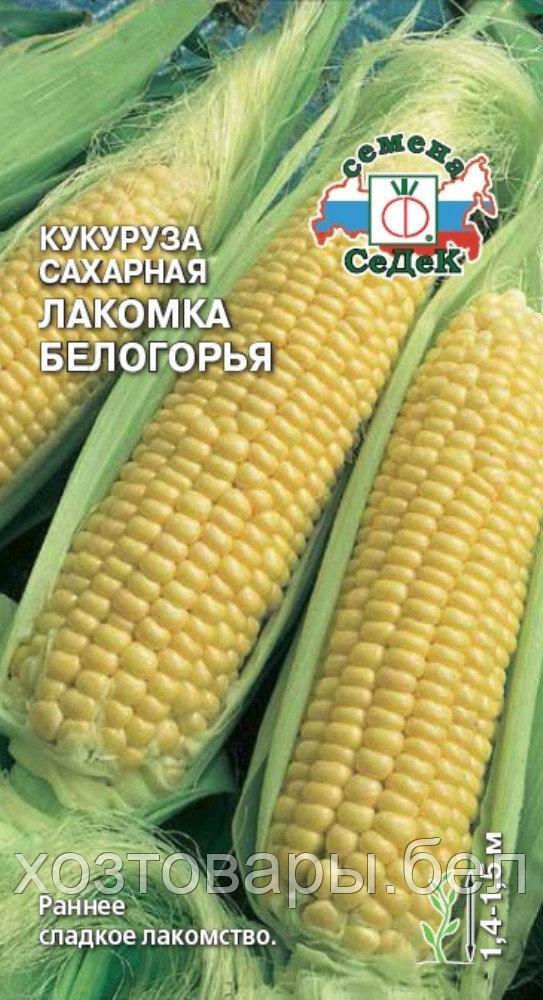 Кукуруза Лакомка Белогорья сахарная 5г Ранн (Седек)