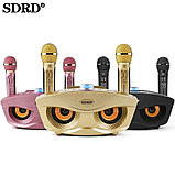 Семейная караоке система на два микрофона SDRD SD-306, фото 2
