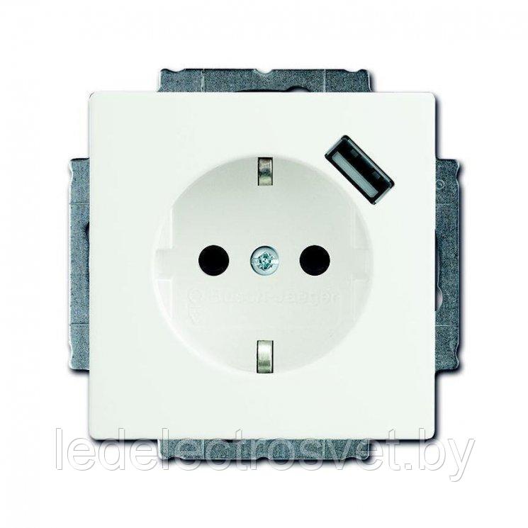 Basic 55 - Розетка 2P+E нем. стд. + USB (белый)
