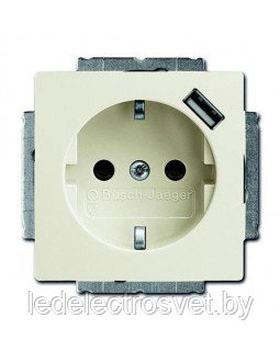Basic 55 - Розетка 2P+E нем. стд. + USB (шале-белый)