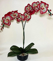 Светильник "Орхидея"