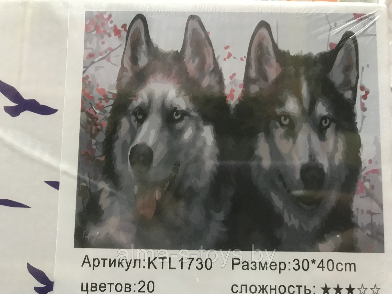 Рисование по номерам 30*40 хаски