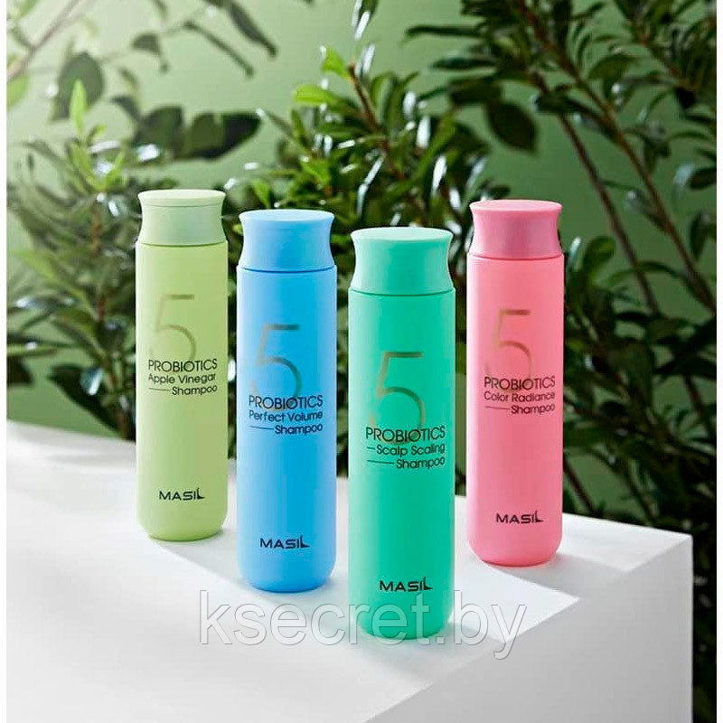 [MASIL] Шампунь для объема волос MASIL 5 Probiotics Perfect Volume Shampoo 300ml - фото 4 - id-p167722551