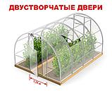 Теплица из поликарбоната Сибирская 3.5 двустворчатая 6х3х2 (труба 40х20), фото 2