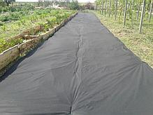 Спанбонд 100 черный ширина 3,2 метра/любой метраж (СУФ), фото 3