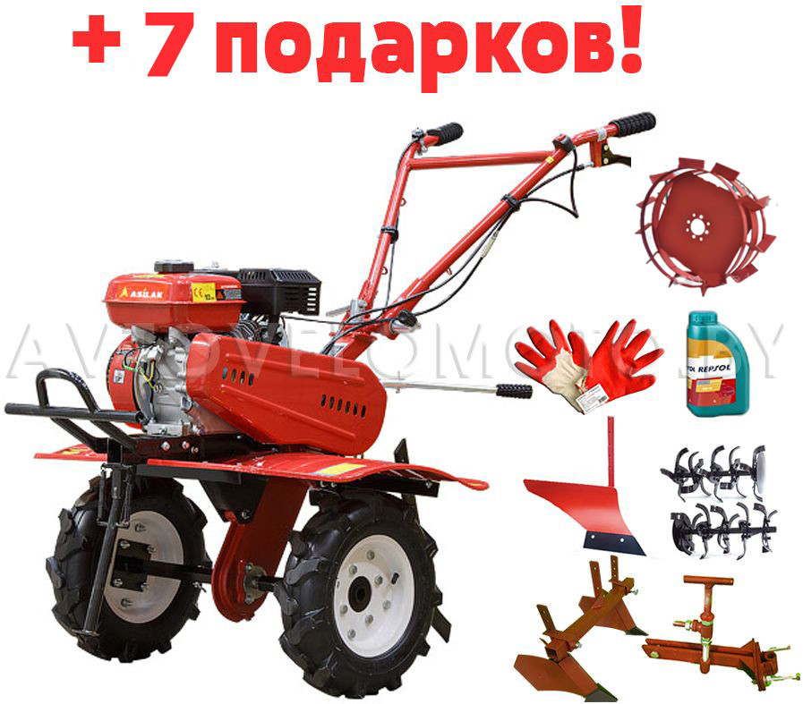 Купить В Минске Мотоблок Асилак