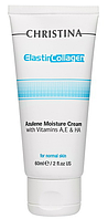 Christina Увлажняющий крем Elastin Collagen Azulene Moisture Cream, 60 мл