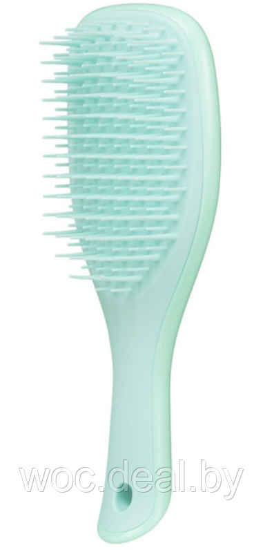 Tangle Teezer Расческа The Wet Detangler Mini, Mini Sea Green - фото 1 - id-p167856356