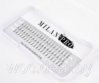 Milan Pro Пучки ресниц безузелковые Черные 3 линии, 10D 0.07 C 8 mm - фото 1 - id-p167852644