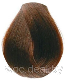 Inebrya Крем-краска для волос Color Professional 100 мл, 5.00 - фото 1 - id-p167856522