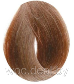Inebrya Крем-краска для волос Color Professional 100 мл, 6.13 - фото 1 - id-p167856540