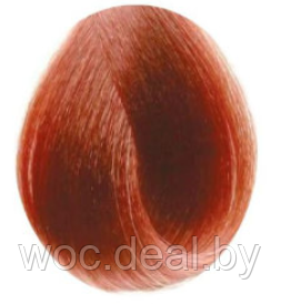 Inebrya Крем-краска для волос Color Professional 100 мл, 8.43 - фото 1 - id-p167856557